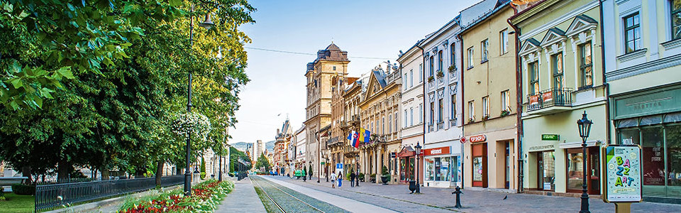 study medicine in kosice